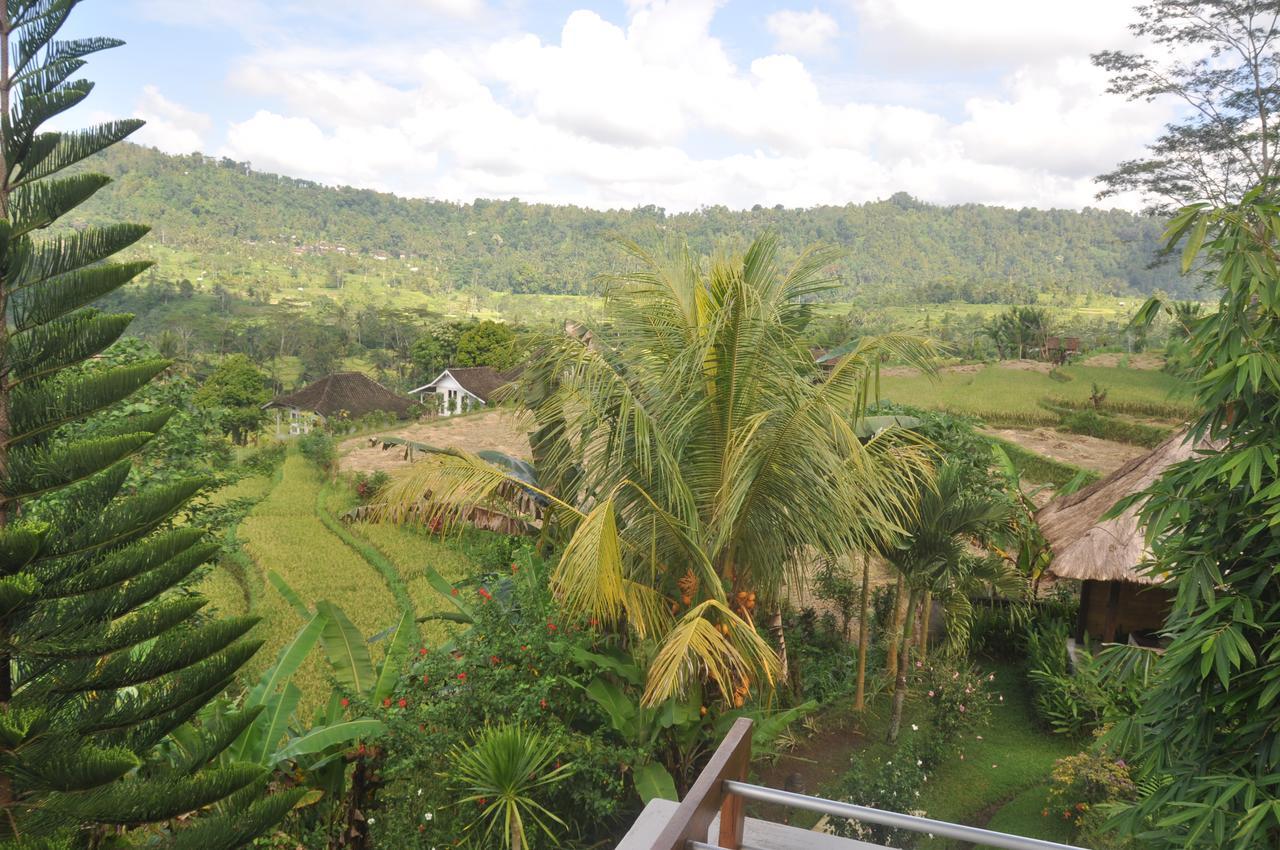 Villa Shantiasa Bali Sidemen (Bali) Exterior foto